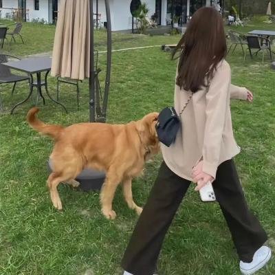 难道不好吗 海报